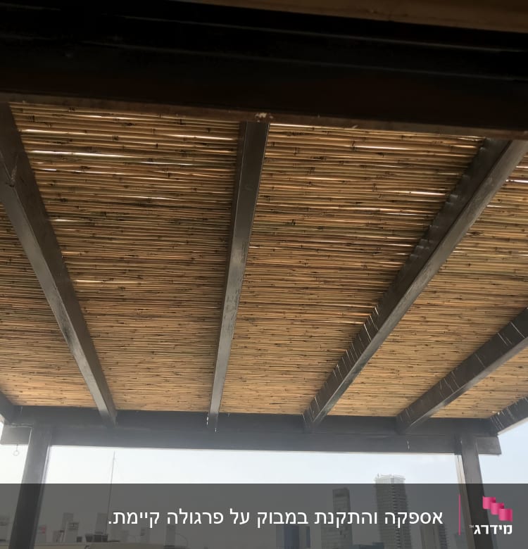 גג פרגולה מעץ עם קורות במרפסת